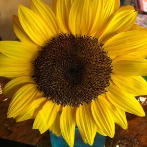 Meet your Posher, Andrea